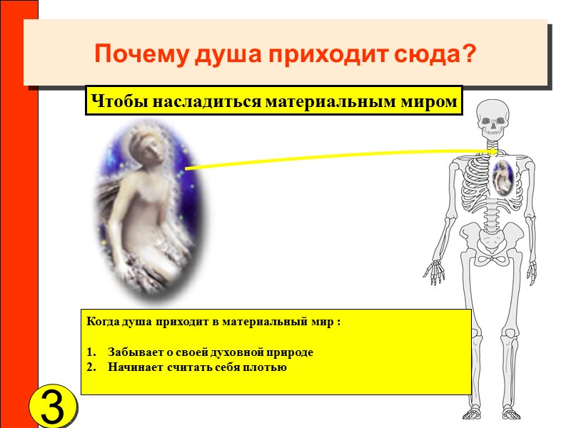 Почему душа приходит сюда? 3 Чтобы насладиться материальным миром Когда душа приходит в материальный